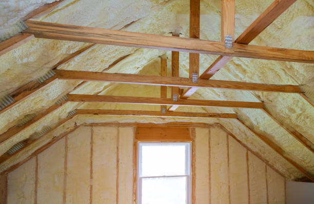 Best Energy-efficient Insulation  in Chula Vista, CA