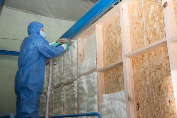 Best Best Insulation Companies  in Chula Vista, CA